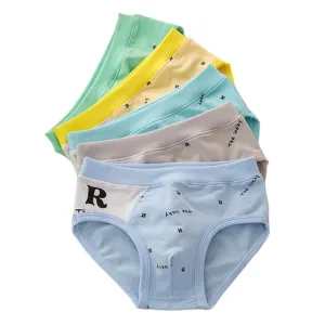 2Pieces /Lot Boys Briefs Kids Underwear Organic Cotton Shorts Children Panties 2-12Years