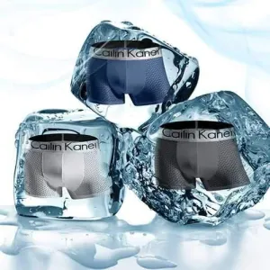 4 Pieces Thin Cool Ice Silk Boxers