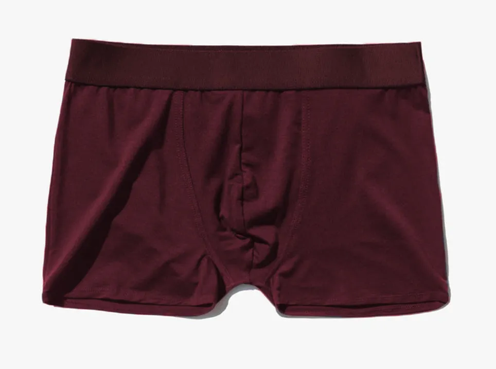 Boxer Brief in Burgundy by CDLP