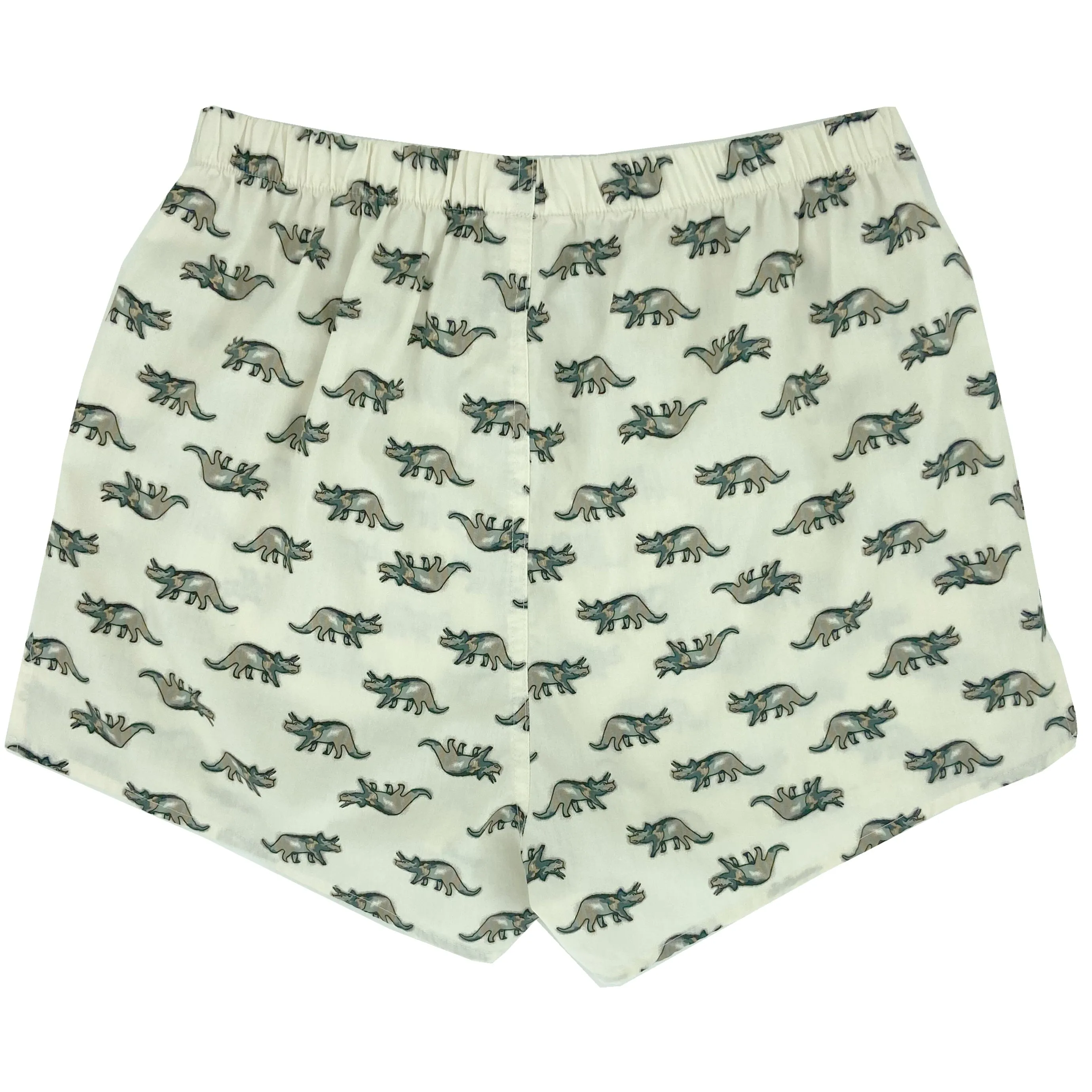 DINO DEFENSE BOXERS