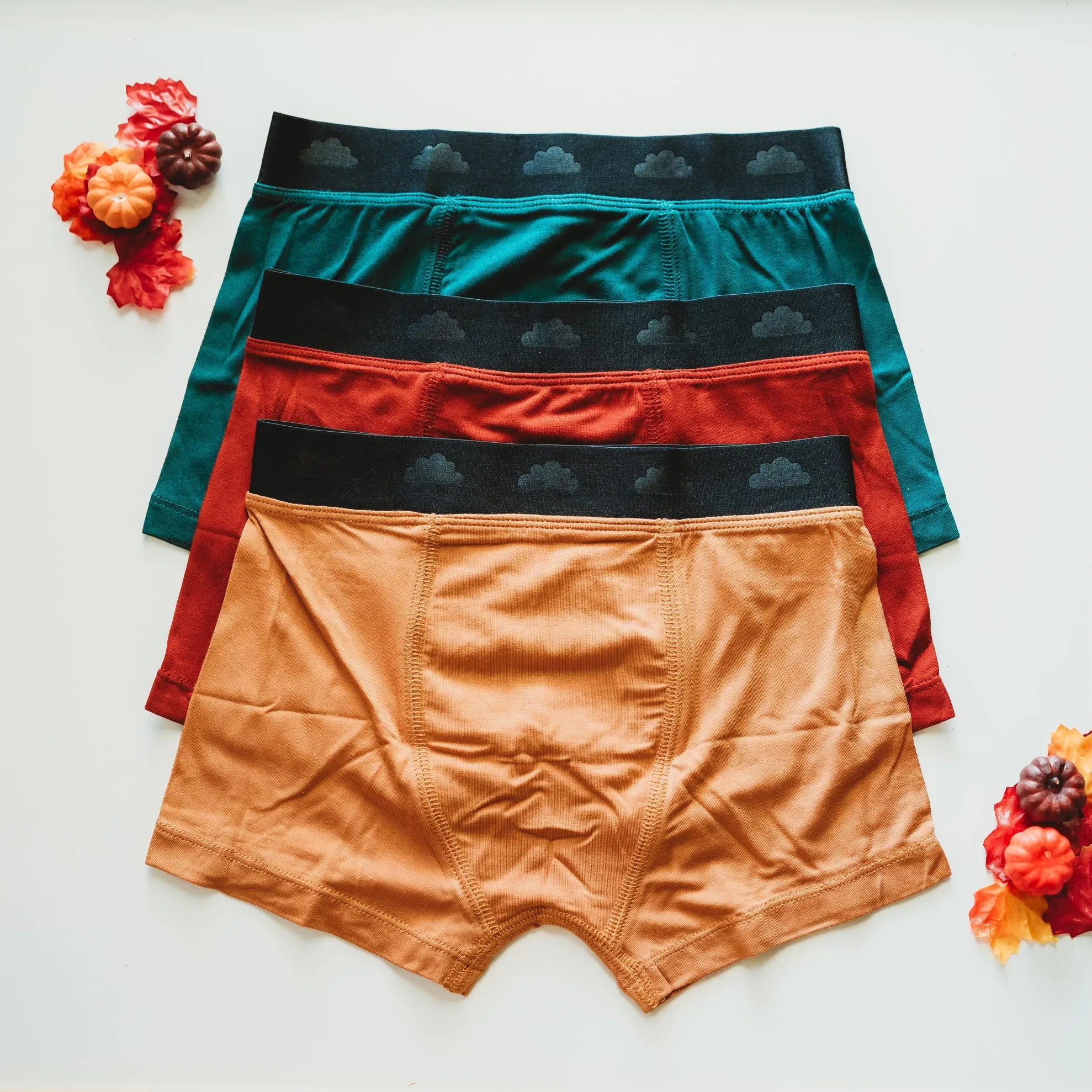 Fall Dream Boy's Boxer Brief Set