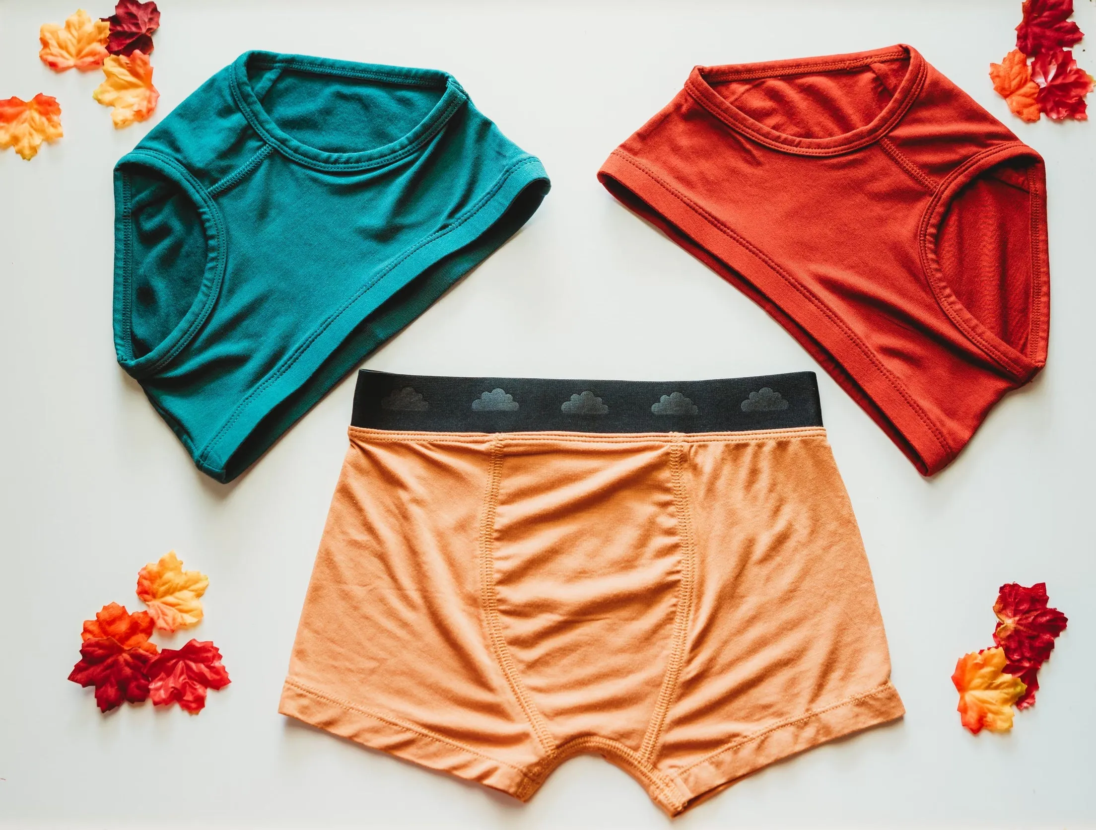 Fall Dream Boy's Boxer Brief Set