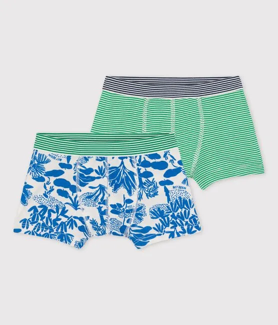 Jungle Print Boxer Shorts - 2-Pack