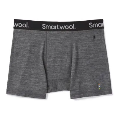 Smartwool Men's Merino Sport 150 Boxer Brief Boxed