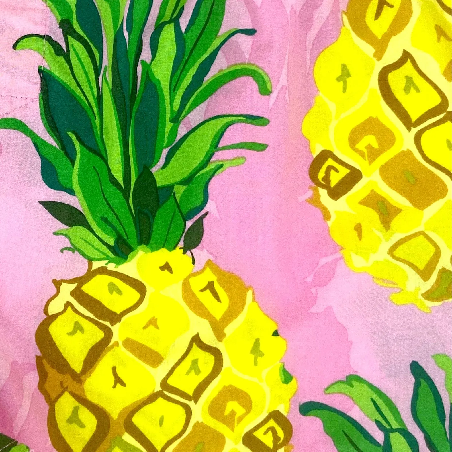 WATCH THE PINEAPPLES, WOULD YA?